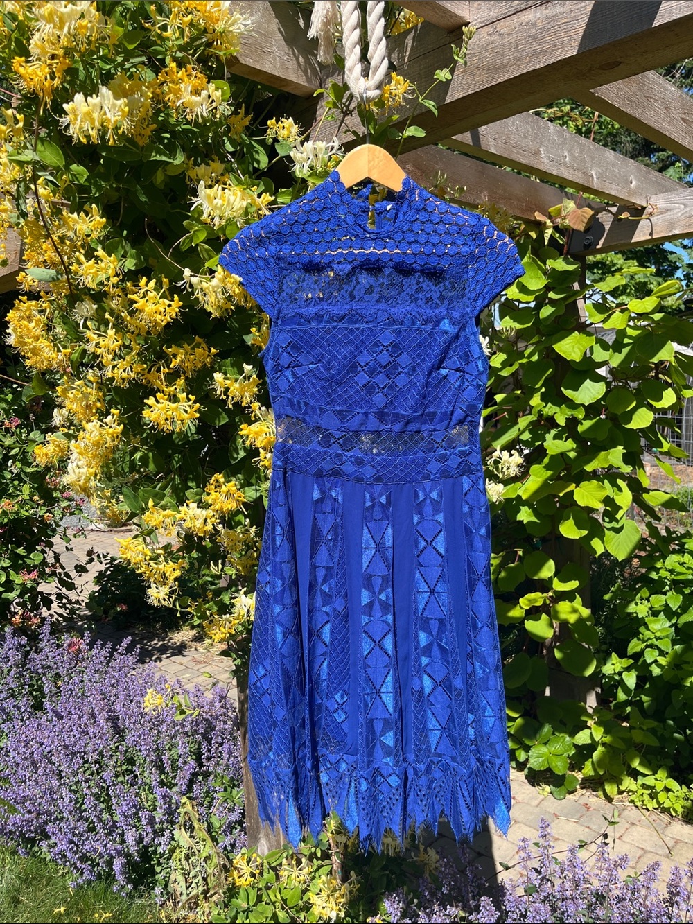 foxiedox Royal Blue Lace Fit-and-Flare Dress